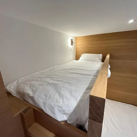 Renovated 6-8 Pers Luxury In Centre 85m2 3br 3ba With Mountain View And Boots Heater !