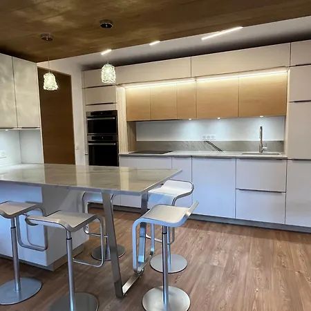 Renovated 6-8 Pers Luxury In Centre 85m2 3br 3ba With Mountain View And Boots Heater ! Apartment