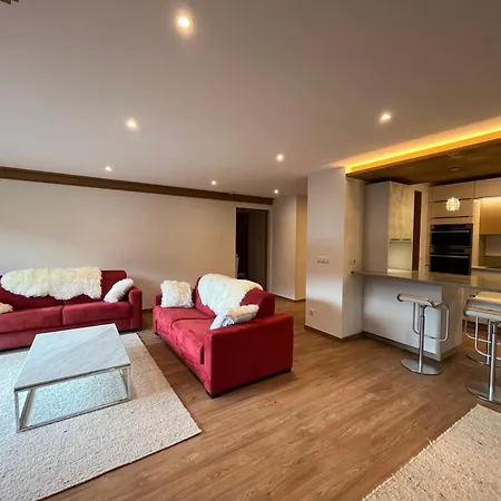 Renovated 6-8 Pers Luxury In Centre 85m2 3br 3ba With Mountain View And Boots Heater !