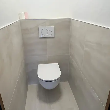 Renovated 6-8 Pers Luxury In Centre 85m2 3br 3ba With Mountain View And Boots Heater ! Apartment