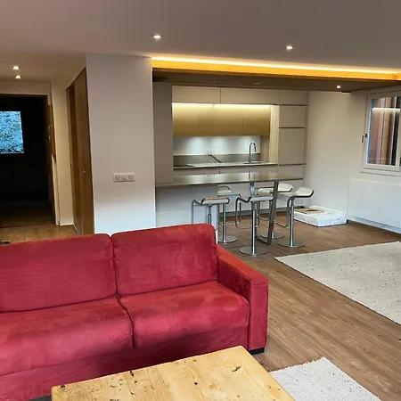 Apartment Renovated 6-8 Pers Luxury In Centre 85m2 3br 3ba With Mountain View And Boots Heater ! *